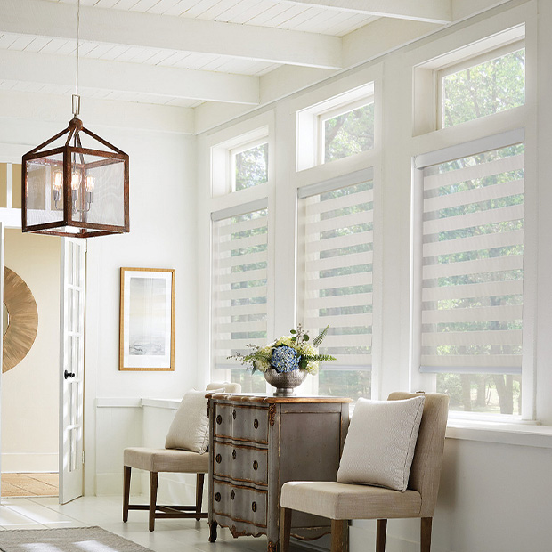 Transitional shades in a Austin living room